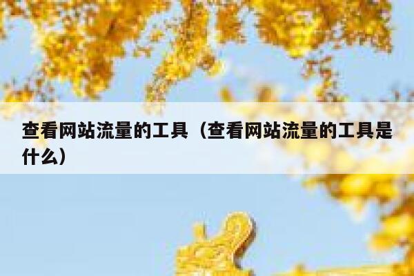 查看网站流量的工具（查看网站流量的工具是什么）