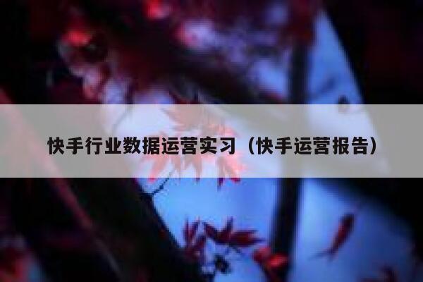 快手行业数据运营实习（快手运营报告）