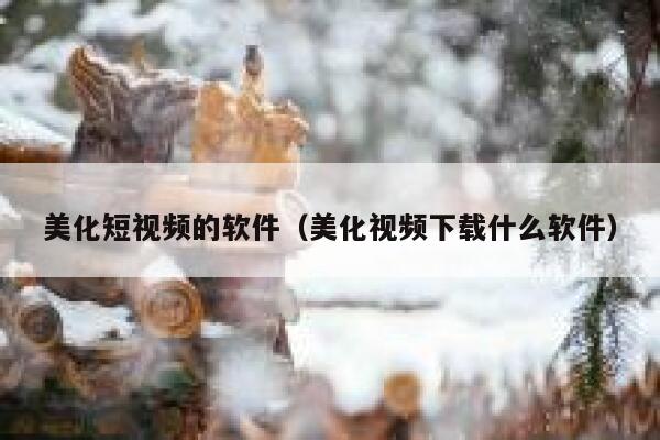 美化短视频的软件（美化视频下载什么软件）