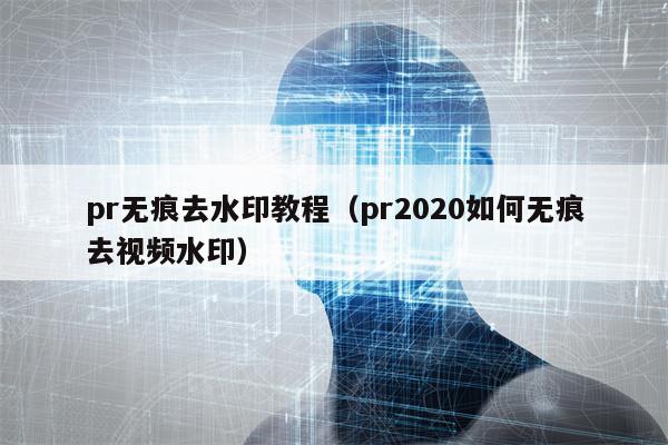 pr无痕去水印教程（pr2020如何无痕去视频水印）