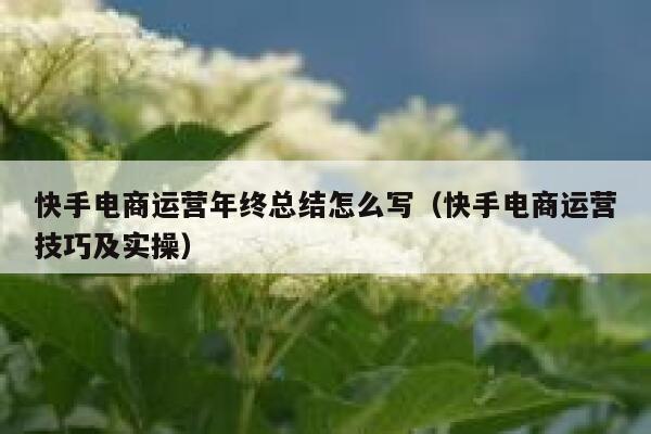 快手电商运营年终总结怎么写（快手电商运营技巧及实操）