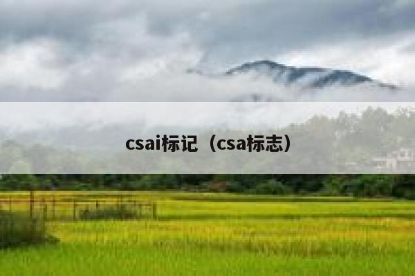 csai标记（csa标志）