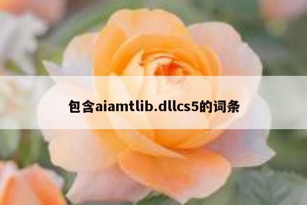 包含aiamtlib.dllcs5的词条