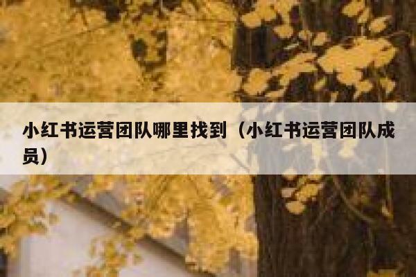 小红书运营团队哪里找到（小红书运营团队成员）