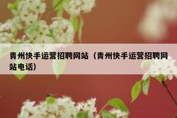 青州快手运营招聘网站（青州快手运营招聘网站电话）