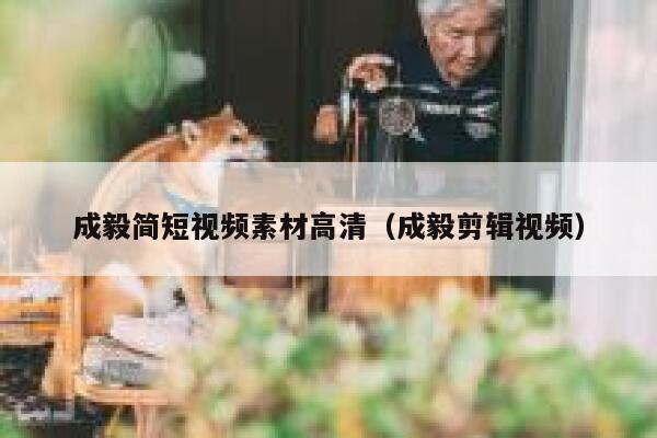 成毅简短视频素材高清（成毅剪辑视频）