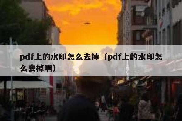 pdf上的水印怎么去掉（pdf上的水印怎么去掉啊）