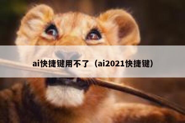 ai快捷键用不了（ai2021快捷键）