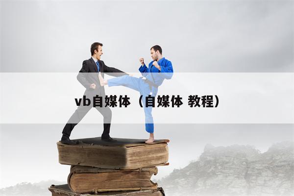 vb自媒体（自媒体 教程）