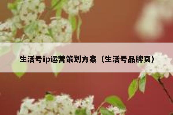 生活号ip运营策划方案（生活号品牌页）