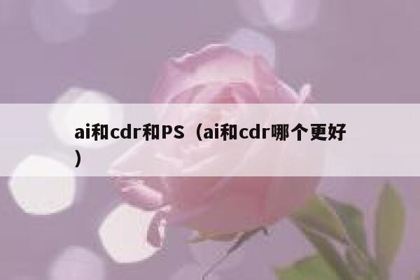 ai和cdr和PS（ai和cdr哪个更好）