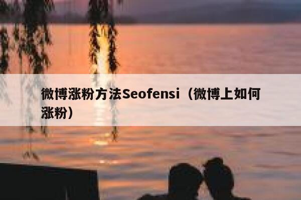 微博涨粉方法Seofensi（微博上如何涨粉）