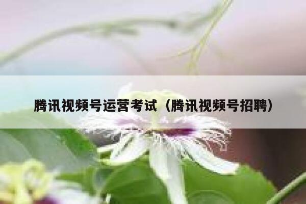 腾讯视频号运营考试（腾讯视频号招聘）