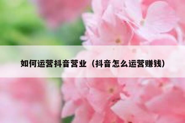 如何运营抖音营业（抖音怎么运营赚钱）