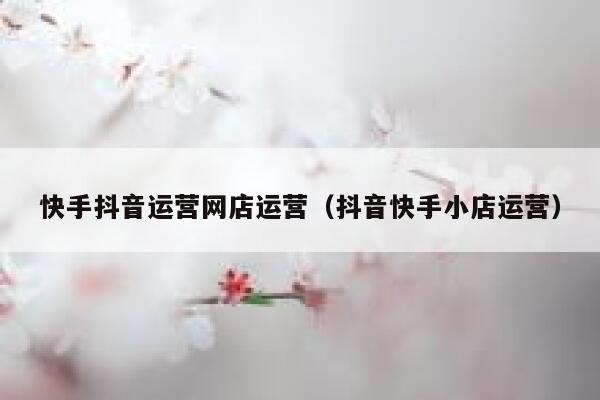 快手抖音运营网店运营（抖音快手小店运营）