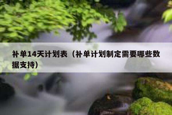 补单14天计划表（补单计划制定需要哪些数据支持）