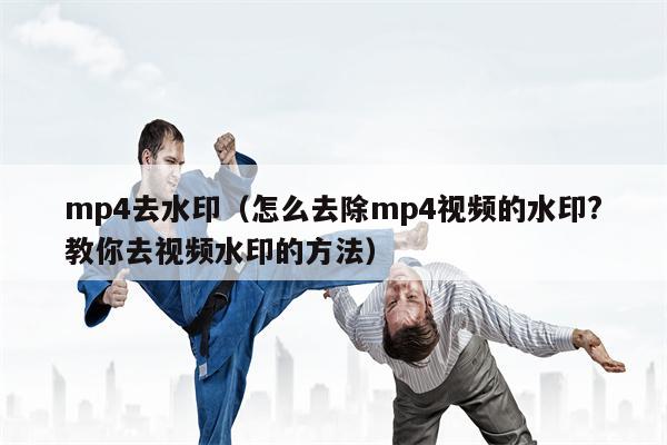 mp4去水印（怎么去除mp4视频的水印?教你去视频水印的方法）