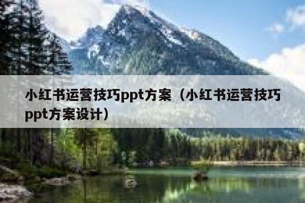 小红书运营技巧ppt方案（小红书运营技巧ppt方案设计）