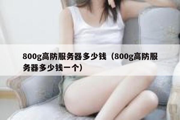 800g高防服务器多少钱（800g高防服务器多少钱一个）