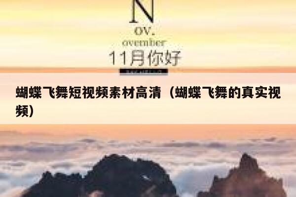 蝴蝶飞舞短视频素材高清（蝴蝶飞舞的真实视频）