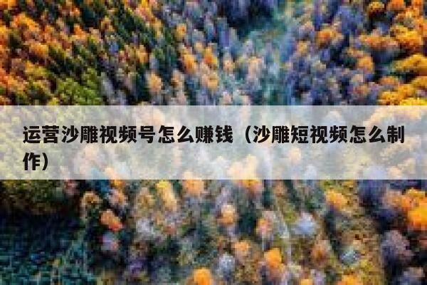运营沙雕视频号怎么赚钱（沙雕短视频怎么制作）