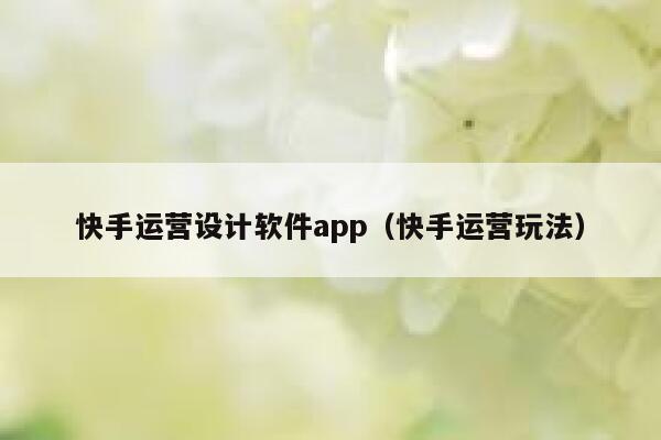 快手运营设计软件app（快手运营玩法）