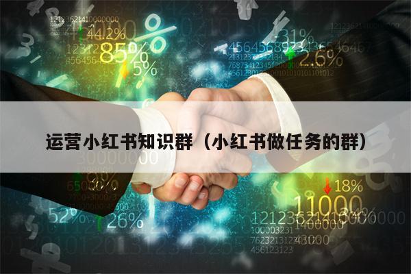 运营小红书知识群（小红书做任务的群）