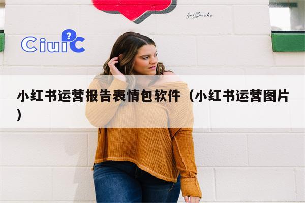 小红书运营报告表情包软件（小红书运营图片）