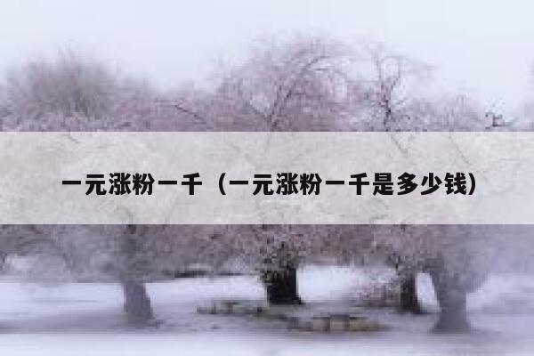 一元涨粉一千（一元涨粉一千是多少钱）