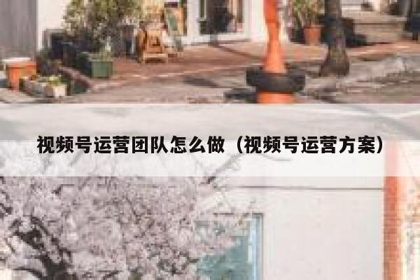 视频号运营团队怎么做（视频号运营方案）