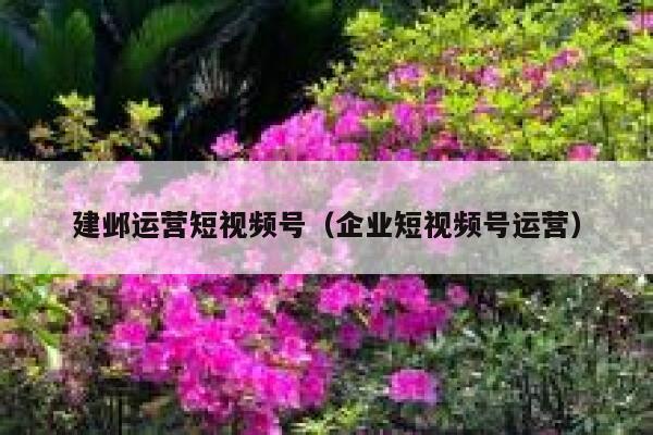 建邺运营短视频号（企业短视频号运营）