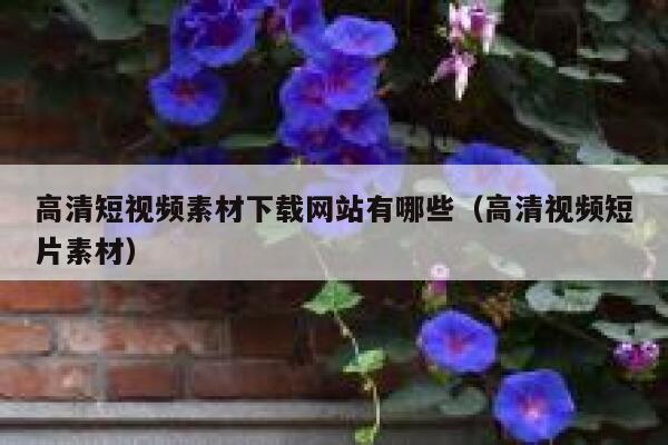 高清短视频素材下载网站有哪些（高清视频短片素材）