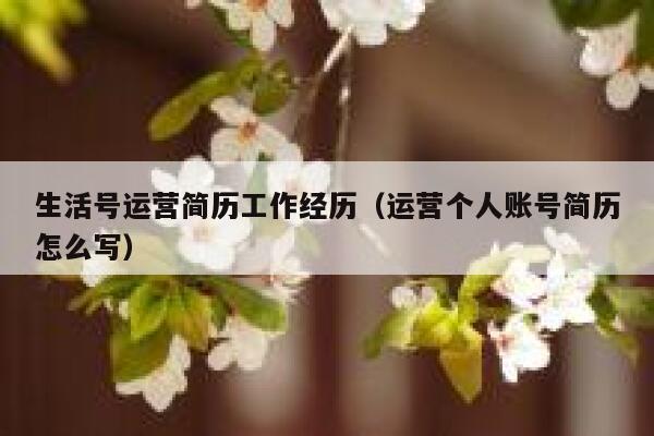生活号运营简历工作经历（运营个人账号简历怎么写）