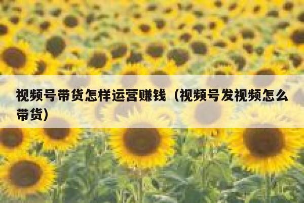 视频号带货怎样运营赚钱（视频号发视频怎么带货）