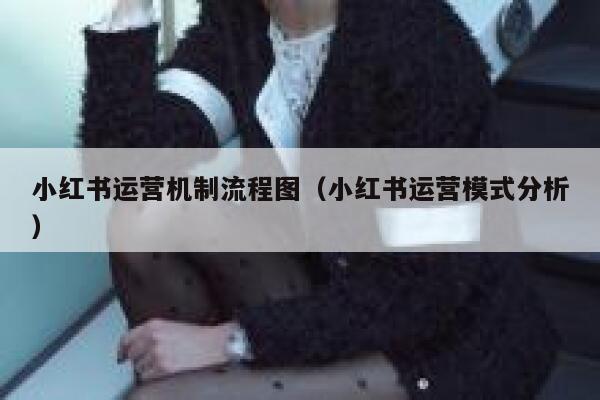 小红书运营机制流程图（小红书运营模式分析）