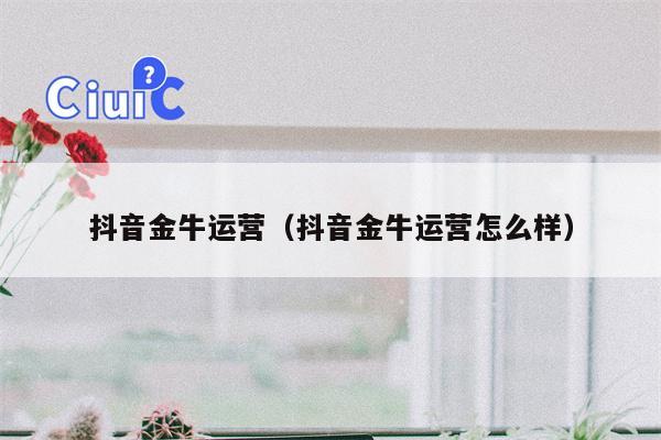 抖音金牛运营（抖音金牛运营怎么样）