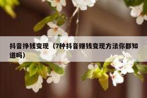 抖音挣钱变现（7种抖音赚钱变现方法你都知道吗）