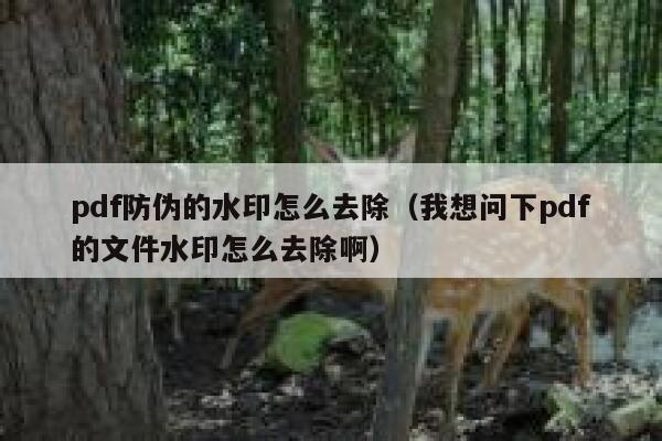 pdf防伪的水印怎么去除（我想问下pdf的文件水印怎么去除啊）