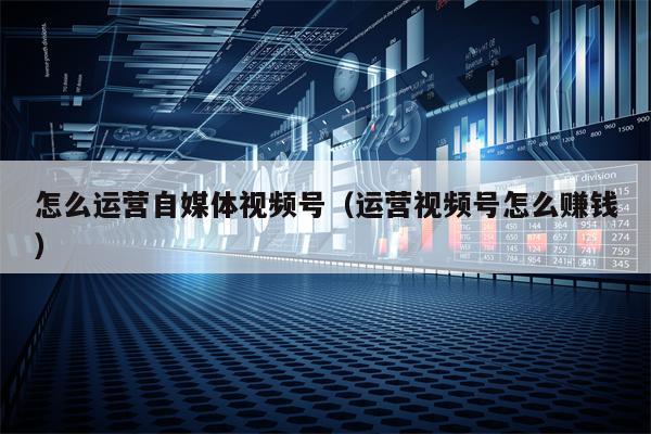 怎么运营自媒体视频号（运营视频号怎么赚钱）