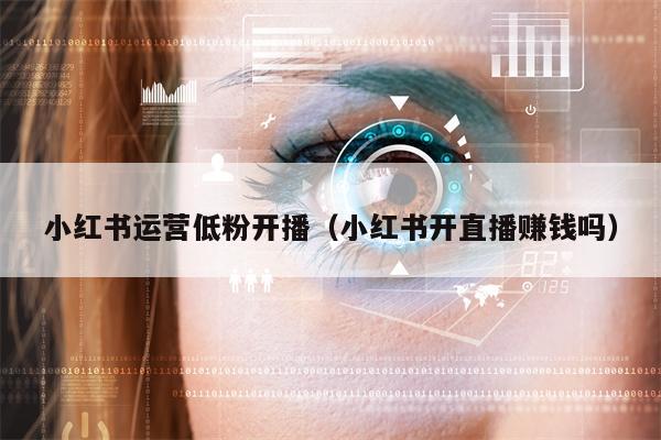 小红书运营低粉开播（小红书开直播赚钱吗）