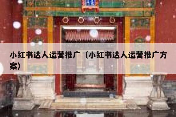 小红书达人运营推广（小红书达人运营推广方案）