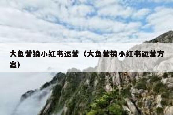 大鱼营销小红书运营（大鱼营销小红书运营方案）