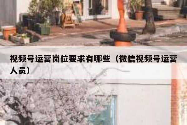 视频号运营岗位要求有哪些（微信视频号运营人员）