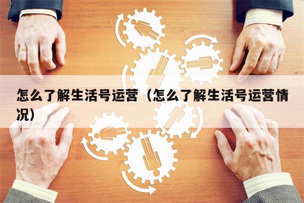 怎么了解生活号运营（怎么了解生活号运营情况）