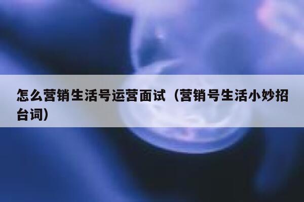 怎么营销生活号运营面试（营销号生活小妙招台词）