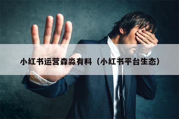 小红书运营森淼有料（小红书平台生态）