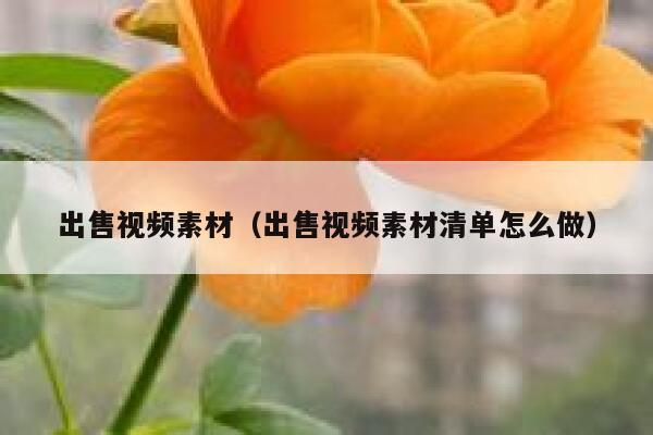 出售视频素材（出售视频素材清单怎么做）