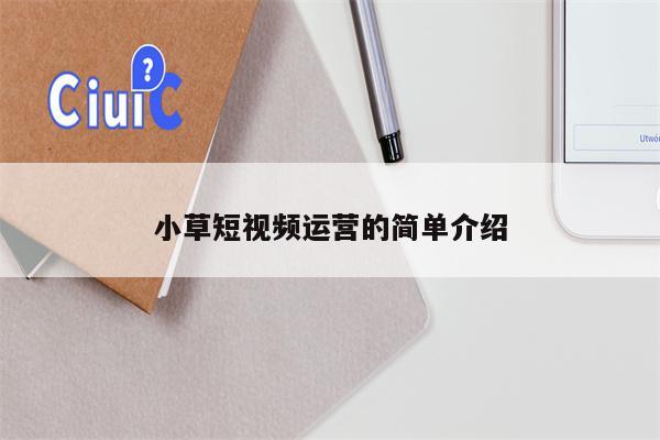 小草短视频运营的简单介绍