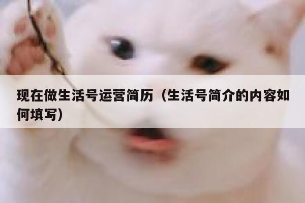 现在做生活号运营简历（生活号简介的内容如何填写）