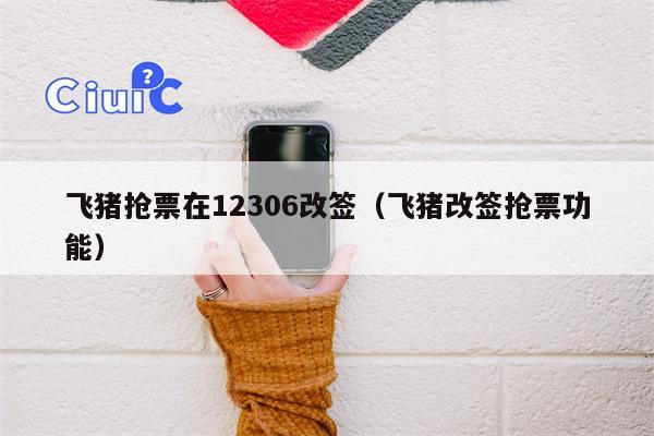 飞猪抢票在12306改签（飞猪改签抢票功能）